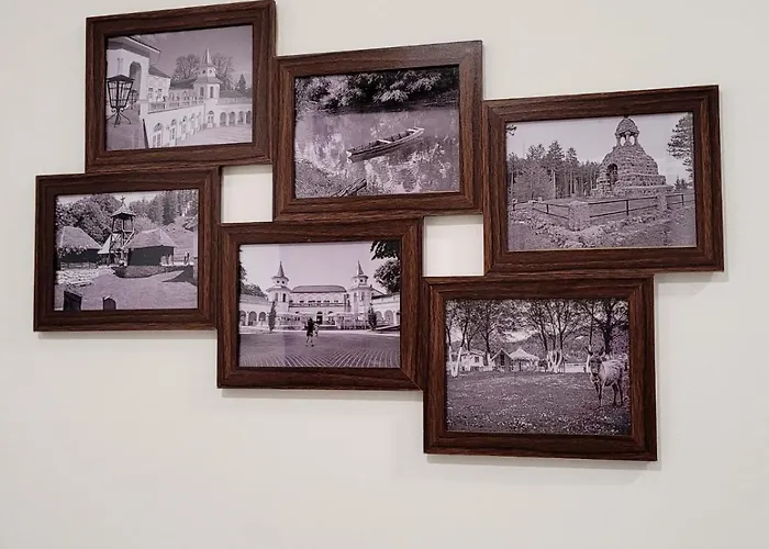 Lukic Banja Koviljača