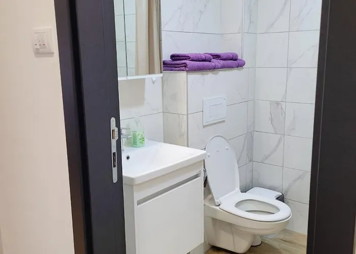 アパート Lukic Banja Koviljača